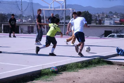 DSC_2102 (Large).JPG